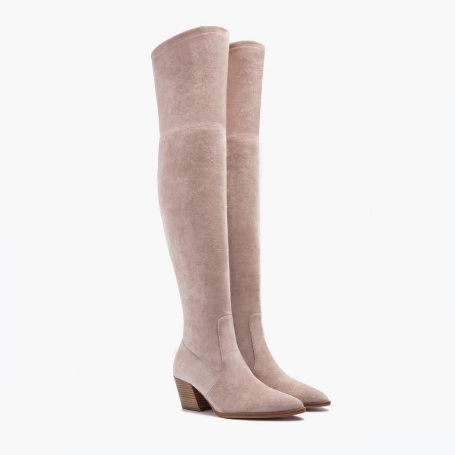 Thursday Boots Boots Tempest Suede Hoge Hakken Dames Roze Bruin | BE421ILH