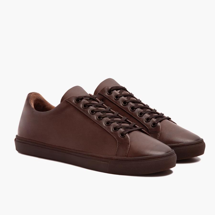 Thursday Boots Premier Low Tops Leren Sneakers Heren Koffie | BE222NWY