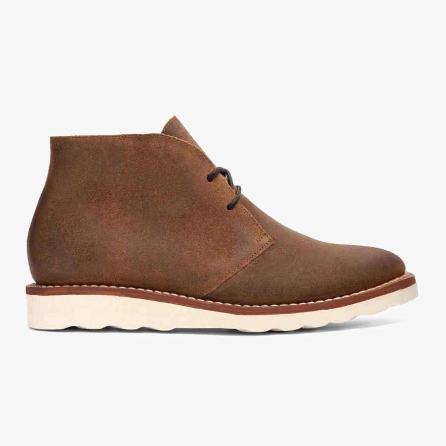 Thursday Boots Scout Nubuck Veterlaarzen Heren Koffie | BE120VRW