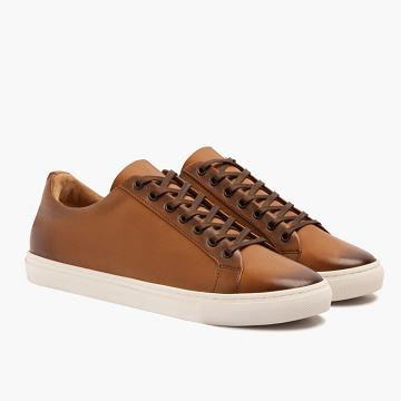 Thursday Boots Premier Low Tops Leren Rugged & Resilient Sneakers Heren Goud | BE227ZUT